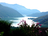 Frama Films International