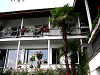 Frama Films International